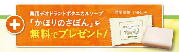 かほりのおめぐ実